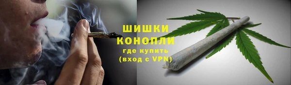 ешки Арсеньев