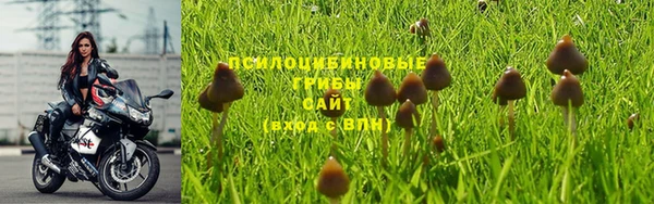 дживик Армянск