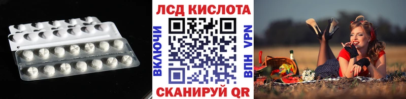 где можно купить   Ядрин  Лсд 25 экстази кислота 