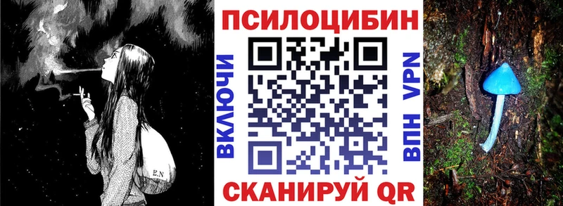 где продают   Ядрин  Галлюциногенные грибы Psilocybe 